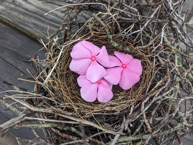 PXL_20240806_210956169